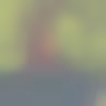 Profilové foto