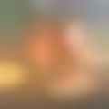Profilové foto