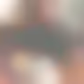 Profilové foto