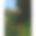 Profilové foto