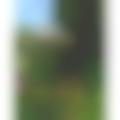 Profilové foto