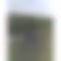 Profilové foto